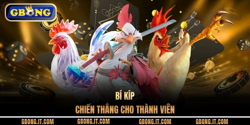 Bí kíp chiến thắng cho thành viên