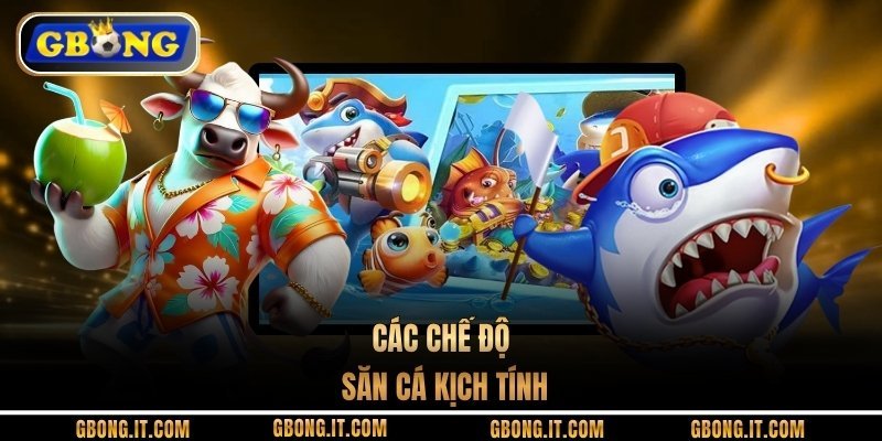 Các chế độ săn cá kịch tính
