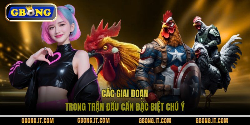 Các giai đoạn trong trận đấu cần đặc biệt chú ý
