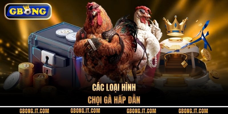 Các loại hình chọi gà hấp dẫn