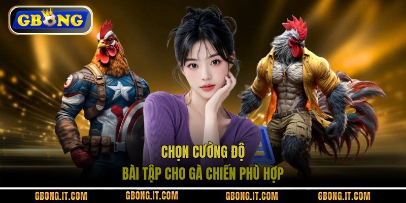 Chọn cường độ bài tập cho gà chiến phù hợp
