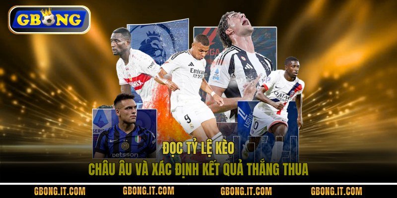 Đọc tỷ lệ kèo Châu Âu và xác định kết quả thắng thua