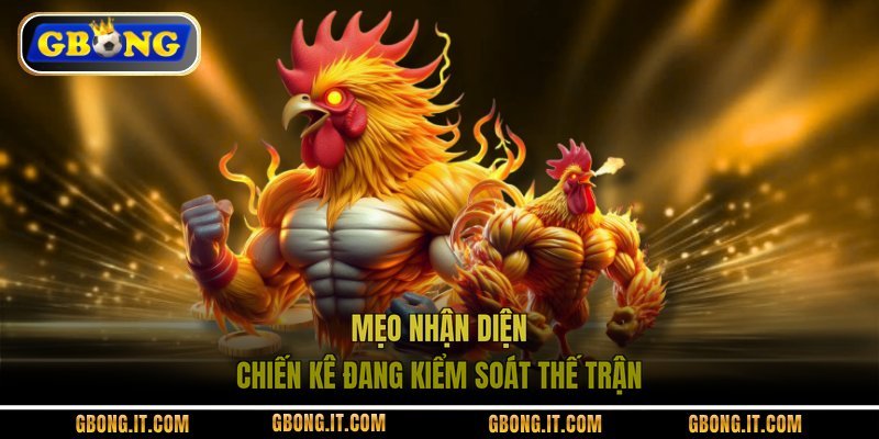 Mẹo nhận diện chiến kê đang kiểm soát thế trận