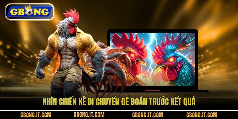 Nhìn chiến kê di chuyển để đoán trước kết quả