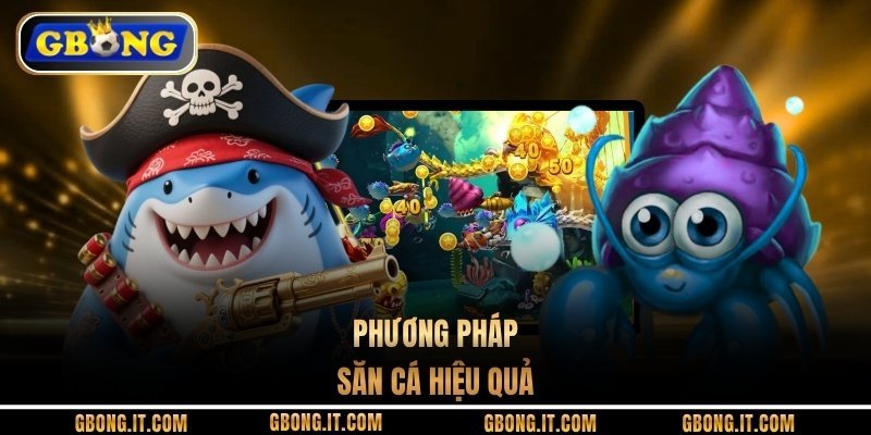 Phương pháp săn cá hiệu quả