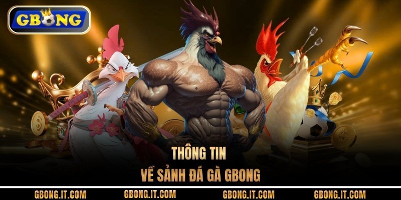 Thông tin về sảnh đá gà GBONG